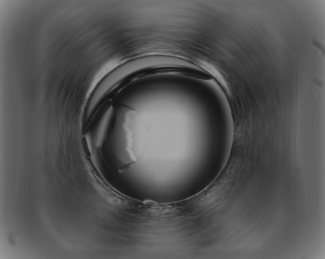 X0000092281146200709141216