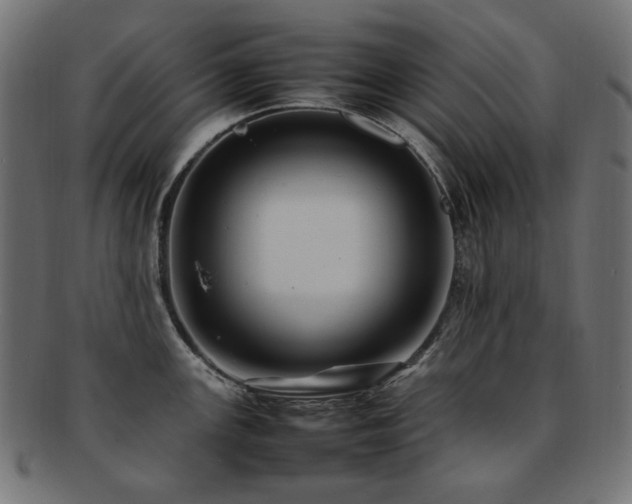 X0000092281147200709141216