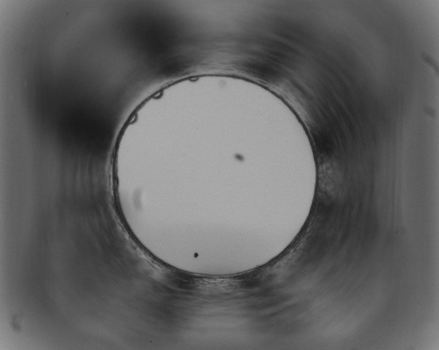 X0000092281150200709141216