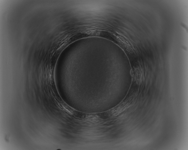 X0000092281154200709141215