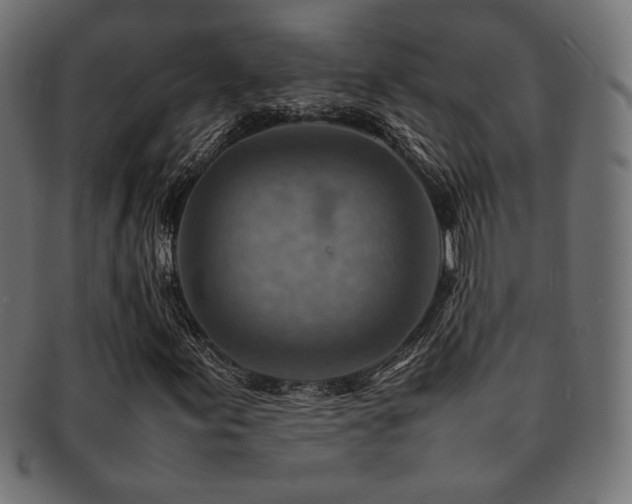 X0000092281155200709141215