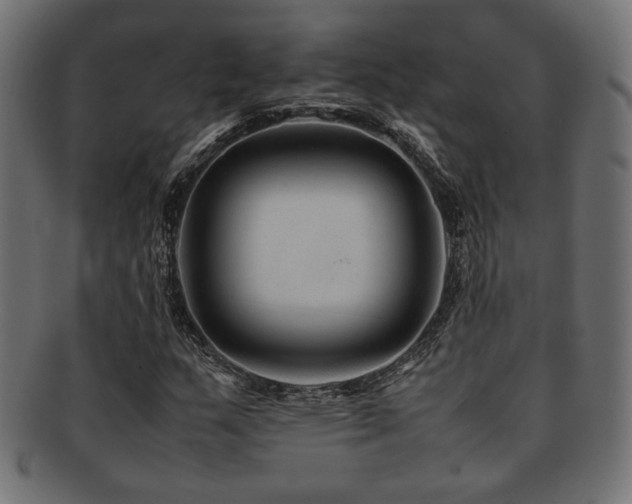 X0000092281159200709141215