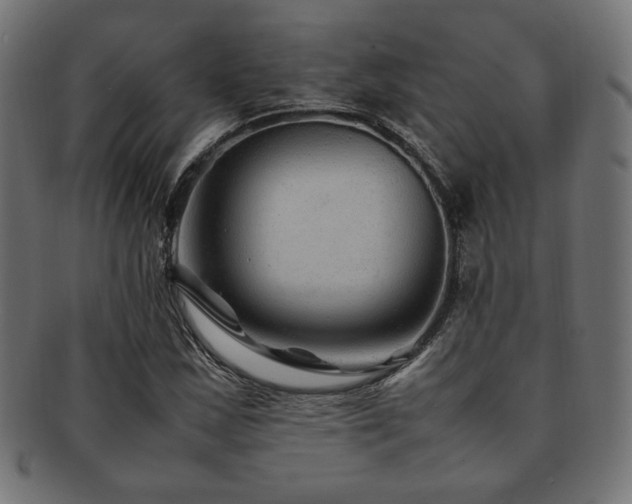 X0000092281163200709141215