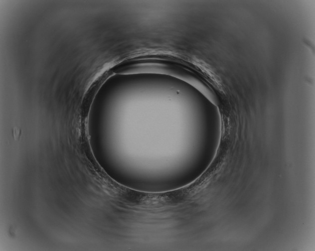 X0000092281165200709141215
