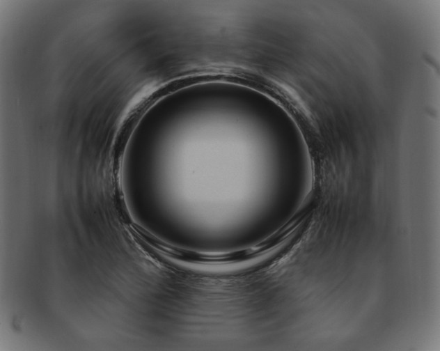 X0000092281172200709141215