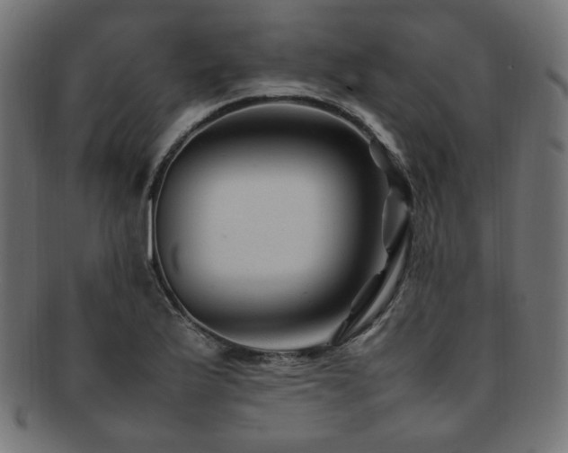 X0000092281175200709141215