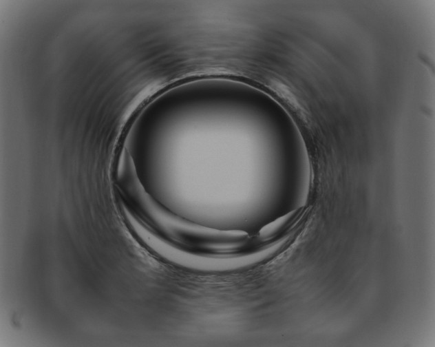 X0000092281181200709141215