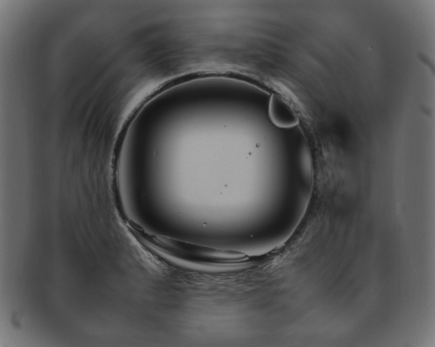 X0000092281183200709141215