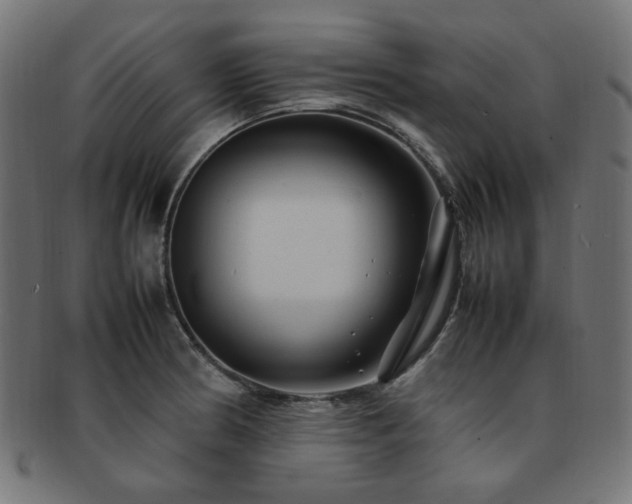 X0000092281186200709141215