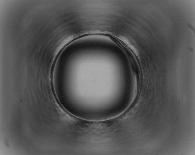 X0000092281189200709141215