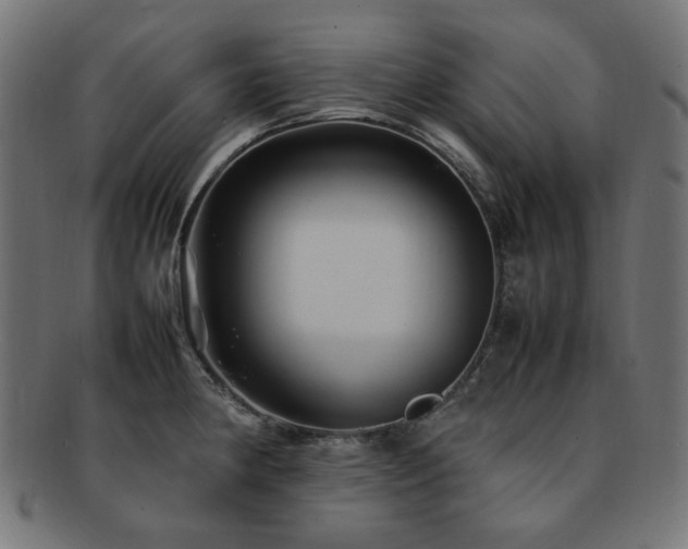 X0000092281190200709141215