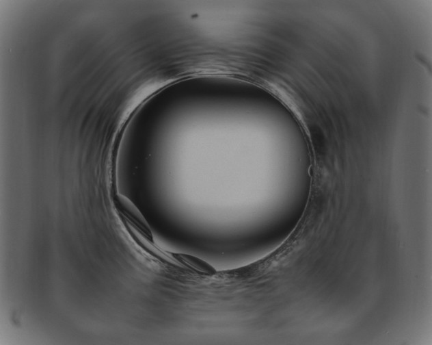 X0000092281195200709141215