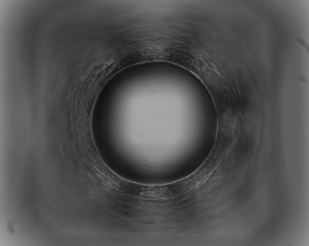 X0000092281201200709141214