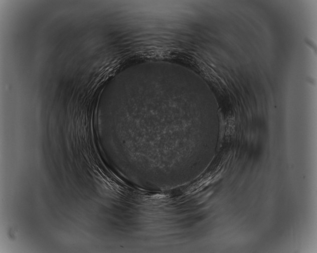 X0000092281202200709141214