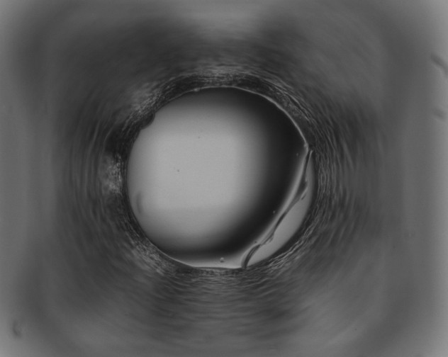 X0000092281204200709141214