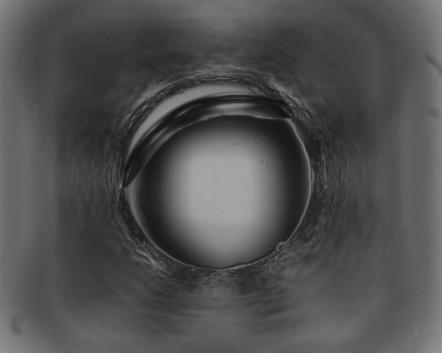 X0000092281206200709141214