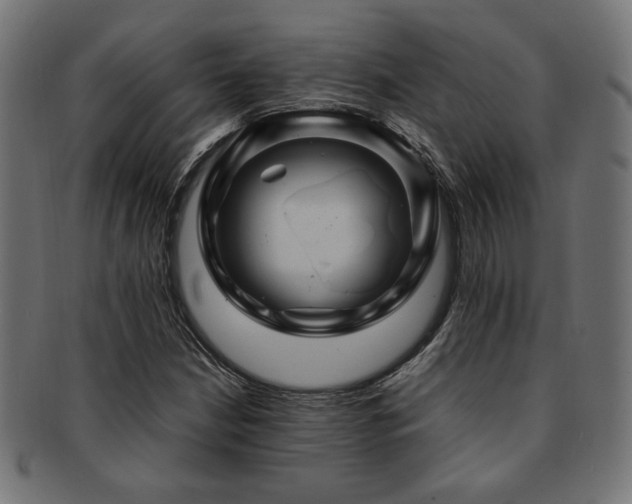 X0000092281210200709141214