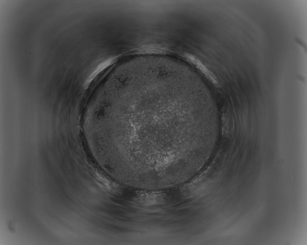X0000092281213200709141214