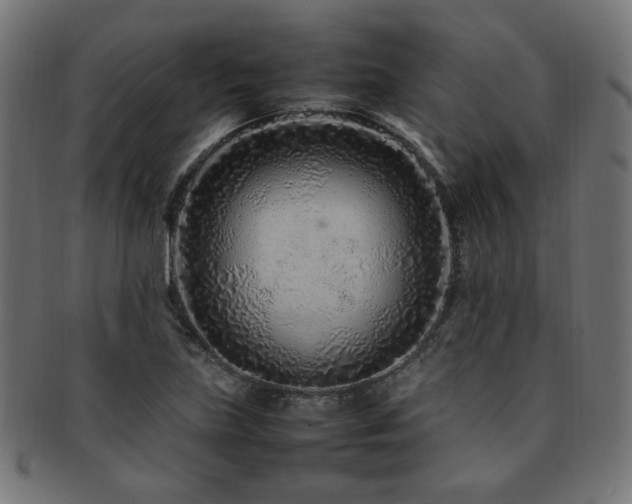 X0000092281219200709141214