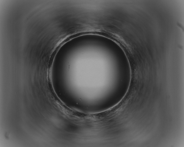 X0000092281220200709141214