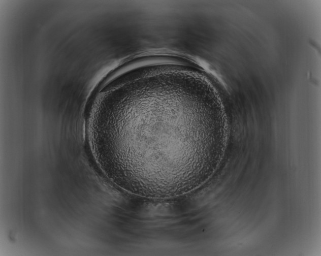 X0000092281221200709141214