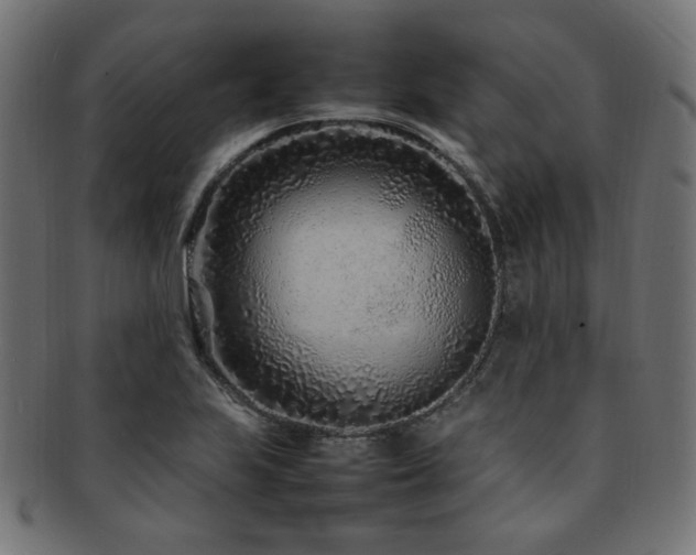 X0000092281223200709141214