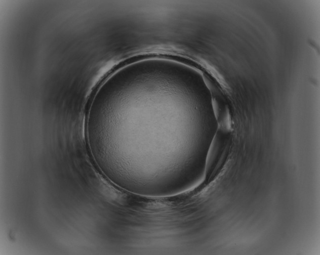 X0000092281224200709141214