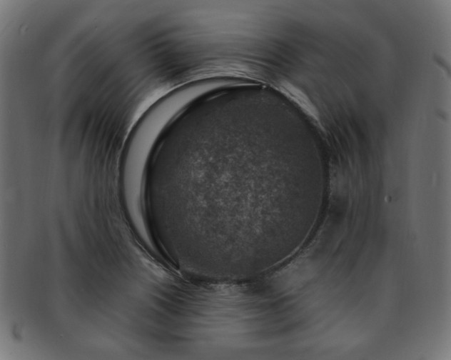 X0000092281226200709141214