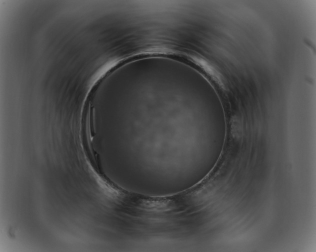 X0000092281229200709141214
