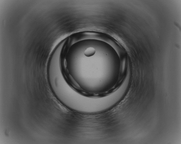X0000092281230200709141214