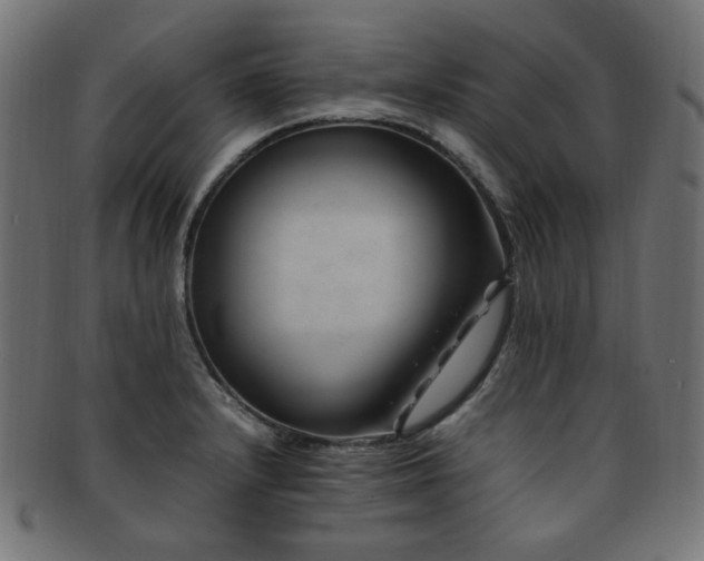 X0000092281232200709141214