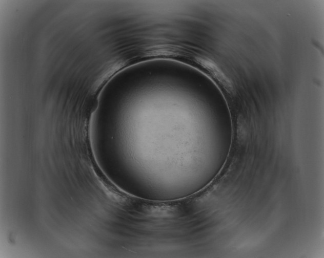 X0000092281233200709141214