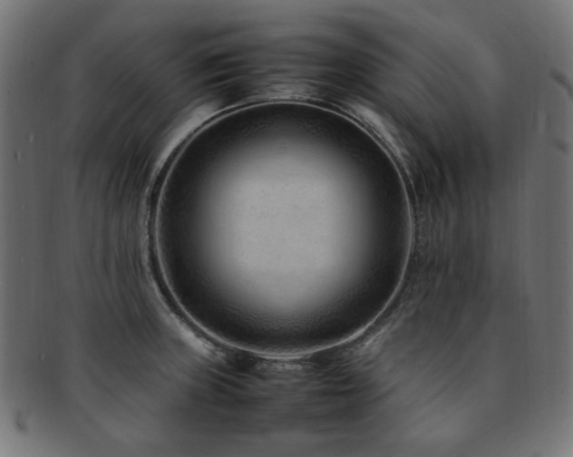 X0000092281235200709141214