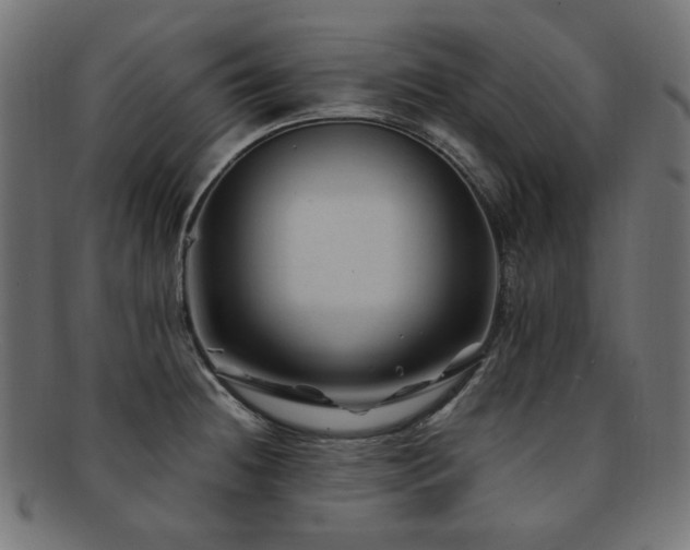 X0000092281236200709141214