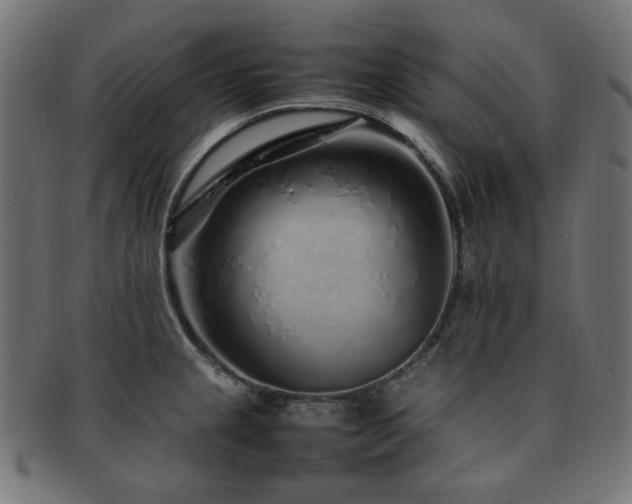 X0000092281237200709141214