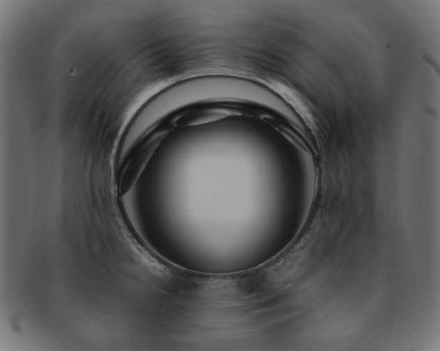 X0000092281238200709141214