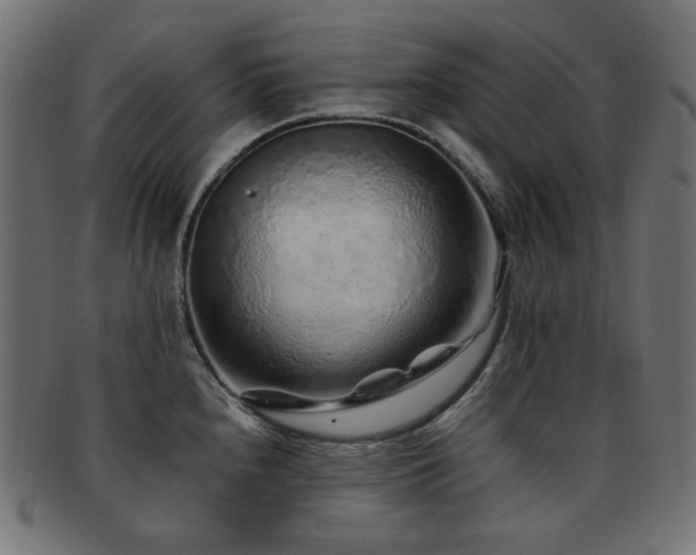 X0000092281240200709141214