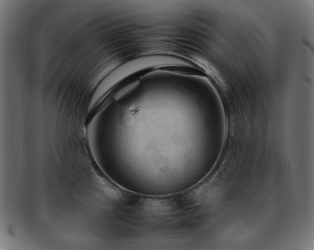 X0000092281241200709141214
