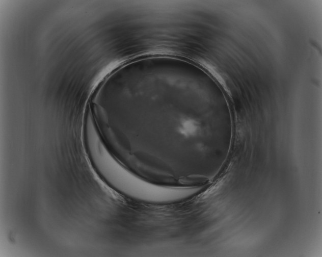 X0000092281245200709141215
