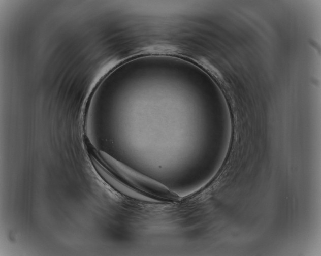 X0000092281248200709141215