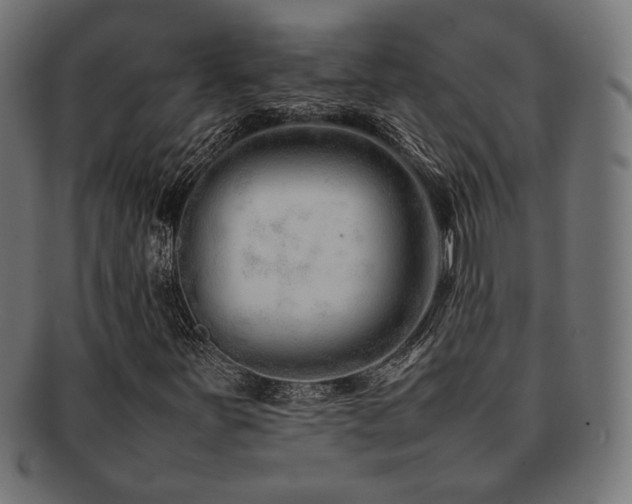 X0000092281251200709141214