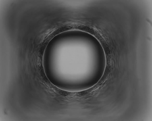 X0000092281253200709141214