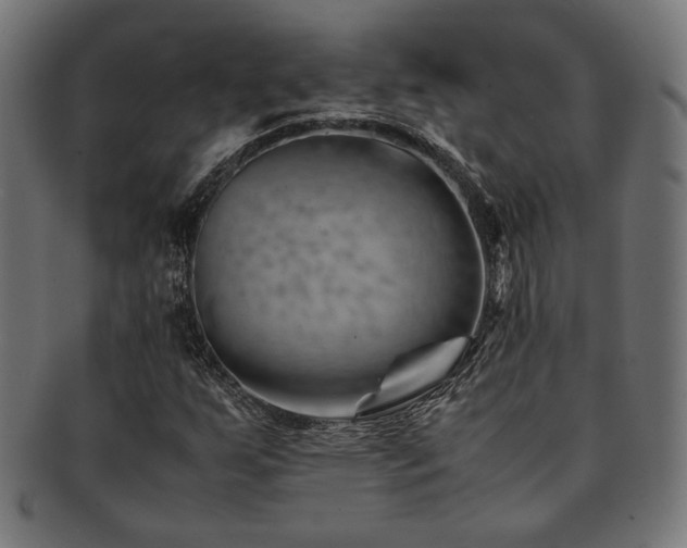 X0000092281255200709141214