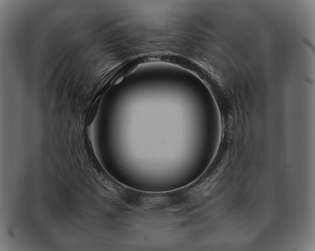 X0000092281257200709141214