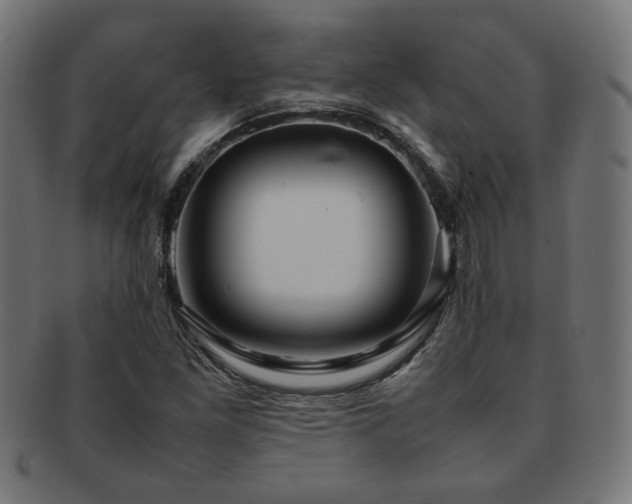 X0000092281261200709141214