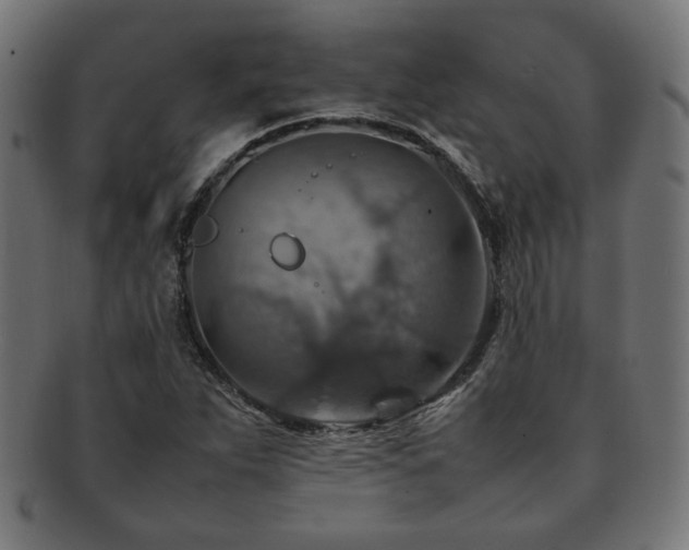 X0000092281263200709141214