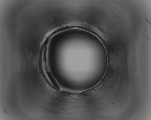 X0000092281264200709141214