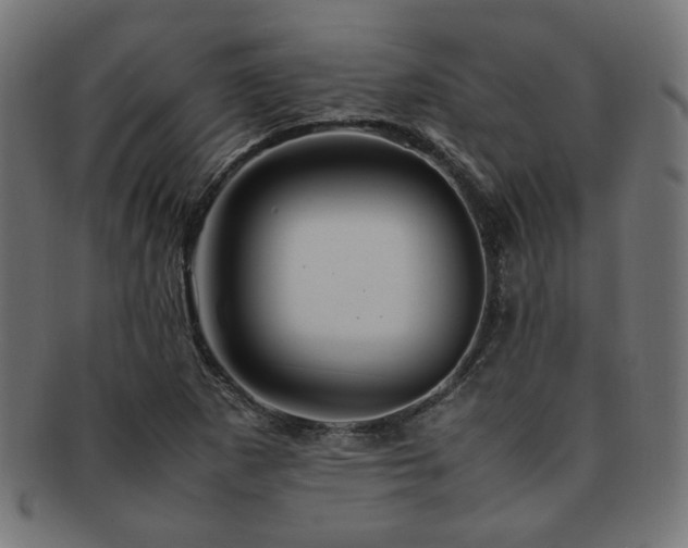 X0000092281265200709141214