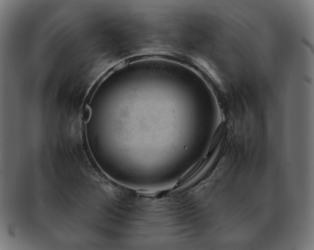 X0000092281268200709141214