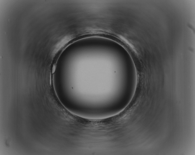 X0000092281269200709141214
